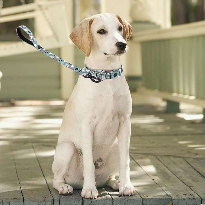 Martingale Collar and Leash Set, Premium No Slip Martingale Collar for Dogs Medium Large, Girl Dog Collars Training (NO14, M)