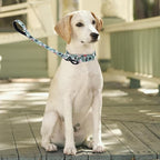 Martingale Collar and Leash Set, Premium No Slip Martingale Collar for Dogs Medium Large, Girl Dog Collars Training (NO14, M)