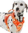 Tactical Dog Vest Harness No Pull Easy Walker Pet Harness for Walking Training Hiking for M Sized Dogs with 2 Leash Clips 3 Buckles Reflective Strip Soft Padded Handle, Tribal, French Bulldog