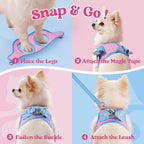 rabbitgoo Dog Harness Small Sized and Leash Set, Step-in Breathable Pet Harness, Soft Walking Reflective Puppy Vest for Small Dogs, Pink & Light Blue, M