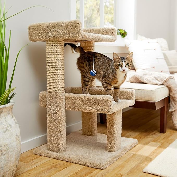 BEXEN 32-in Real Carpet Wooden Cat Tree with Toy: Double-Decker, Sturdy Wood, Plush Carpet, sisal Scratching Posts, Fully Assembled, Engaging Play