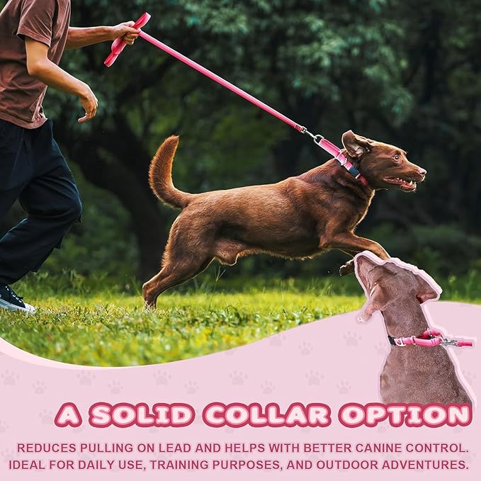 Martingale Collar for Dogs Large Medium Small Heavy Duty Buckle Dog Collar with Tag Ring Reflective Nylon Gradient Dog Collar No Pull Training Collar