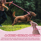 Martingale Collar for Dogs Large Medium Small Heavy Duty Buckle Dog Collar with Tag Ring Reflective Nylon Gradient Dog Collar No Pull Training Collar