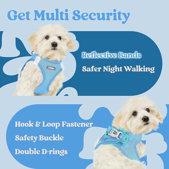 rabbitgoo Small Dog Harness, Step-in Soft Mesh Puppy Vest with Safety Buckle, Breathable Reflective Pet Harness for Small Sized Dogs, Blue XS