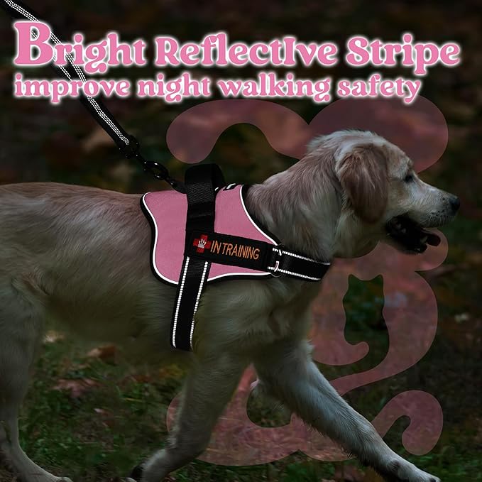 rabbitgoo Dog Harness Small Sized, No Pull No Choke Pet Vest, Easy Wearing with One Buckle, Reflective, Adjustable Pet Harness with Molle for Walking, Training, Pink, S