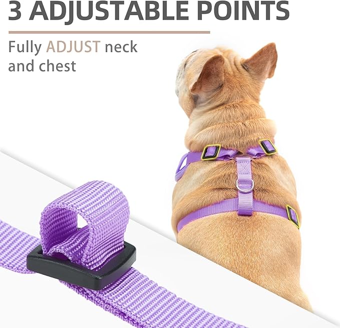 PUPTECK Small Dog Harness and Leash Set, No Pull Adjustable Puppy Cat Harness, Reflective Soft Mesh Pet Vest Small Sized, Purple, L