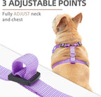 PUPTECK Small Dog Harness and Leash Set, No Pull Adjustable Puppy Cat Harness, Reflective Soft Mesh Pet Vest Small Sized, Purple, M