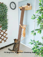 SHENGOCASE Modern 78.7“ Tall Leaning Cat Tree Tower Scratching Post Pillar with Bed Perch, Climbing Pole for Wall and Window, Wall Mounted Shelves