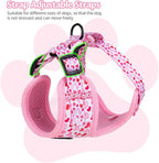 Dog Harness and Leash Set, Adjustable Dog Harness, Dog Leash, No Pull No Choke Puppy Harnesses for Walking Training for Small, Medium Pet (Little Love, XS(Chest 11-13", Neck 9-11"))