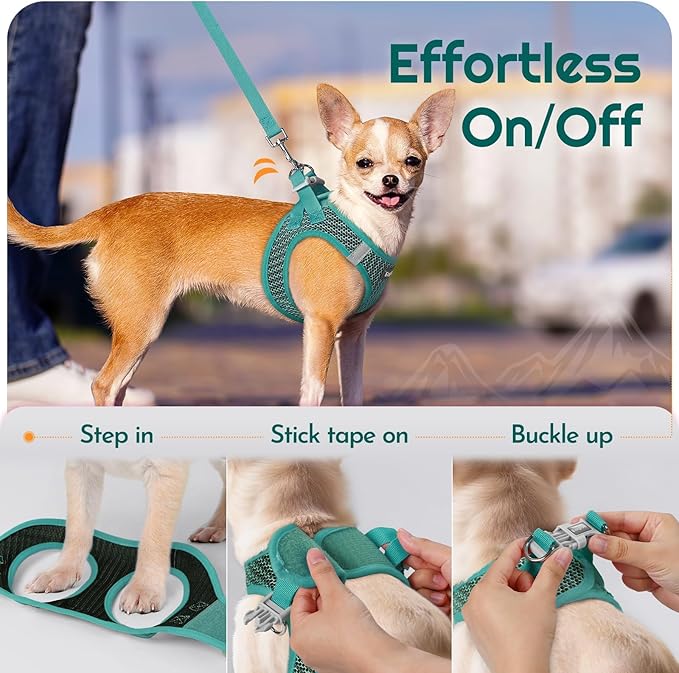 Eagloo Small Dog Harness and Leash Set, Step in Puppy Vest with Breathable Soft Mesh, Walking Reflective Pet Harness for Small Dogs, Forest Green, XXS