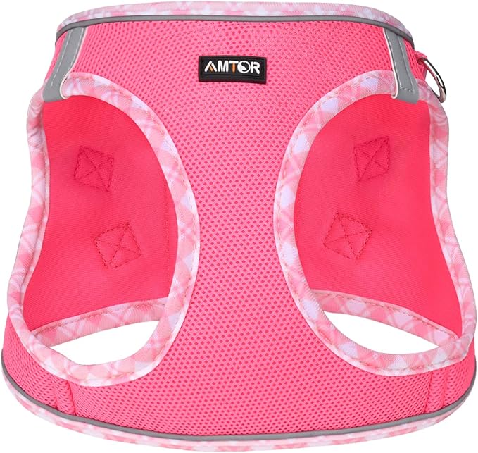 AMTOR Small Dog Harness with Leash Set, No Escape Easy Walk Puppy Harnesses for Training Walking, Step-in Reflective Soft Dogs Vest for XS S Medium Extra-Small Large Sized Dog(Fuchsia,M)