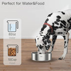 2L Double Layers 304 Stainless Steel Dog Bowl - Insulated & Durable | Non-Slip Base | Easy to Clean | BPA-Free Safe Dog Food and Water Bowl