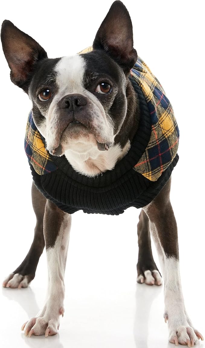 Gooby Fashion Vest Check Dog Jacket - Yellow Check, Small - Warm Zip Up Dog Bomber Vest with Dual D Ring Leash Water Resistant for Small to Medium Dogs