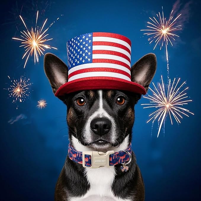 ARING PET 4th of July Collars for Dogs, Fourth of July Patriotic Bow Flag Red Blue Dog Collar for Puppy Small Medium Large Boy Girl Doggy-L