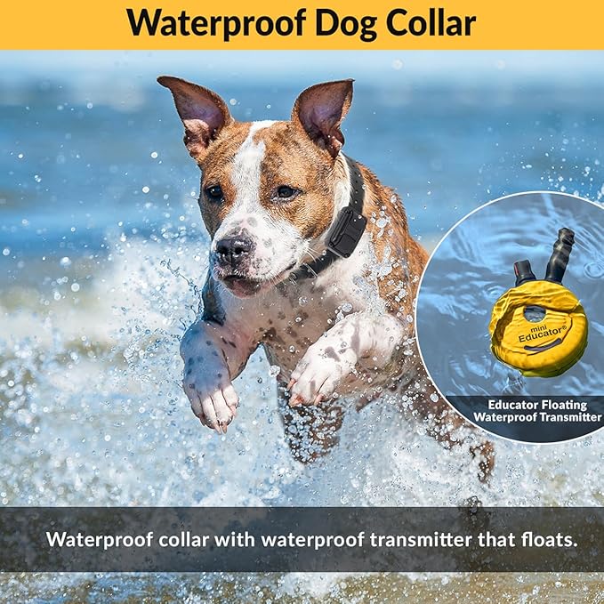 E-Collar – Mini Educator ET-302 1/2 Mile Waterproof Remote Dog Training Collar Includes Premium Finger Clicker Trainer, 100 Programmable Levels + Vibration + Light + Sound, Yellow