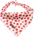 Lionet Paws Dog Bandana,Fabric Pink Dogs Kerchief for Medium Large Dogs,Dog Cotton Triangle Bibs Scarf for Girl Boy