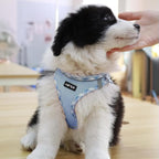AMTOR Small Dog Harness with Leash Set, No Escape Easy Walk Puppy Harnesses for Training Walking, Step-in Reflective Soft Dogs Vest for XS S Medium Extra-Small Large Sized Dog(M Size,Blue/White)