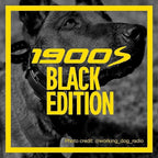 Dogtra 1900S Black Boost & Lock E-Collar Remote Dog Trainer 1-Mile Range Ergonomic IPX9K Waterproof High-Output Matte Black