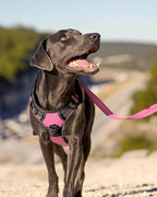 Joytale No Pull Dog Harness for Extra Large Dogs, Reflective Pet Vest with Front Clip, Adjustable Soft Padded Harnesses with Easy Control Handle for Training and Walking, Pink, XL