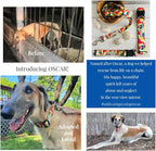 Lucky Love Dog Martingale Dog Collar - Adjustable, No-Slip, Durable, & Soft Webbing Collar for Male and Female Dogs Ideal for Training & Walking - Oscar, Small