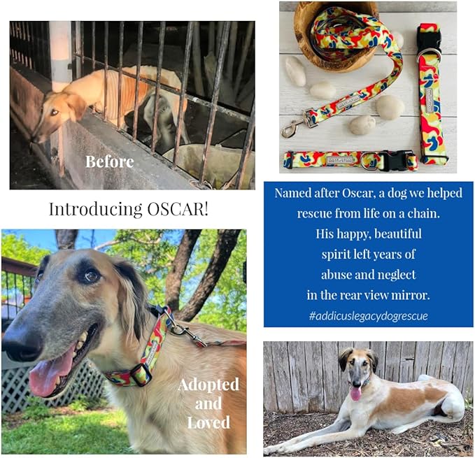 Lucky Love Dog Martingale Dog Collar - Adjustable, No-Slip, Durable, & Soft Webbing Collar for Male and Female Dogs Ideal for Training & Walking - Oscar, Large