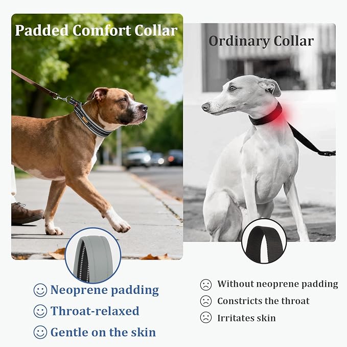 Mayerzon 1.5" Wide Martingale Collar for Large Medium Small Dogs Pitbull German Shepherd, No Pull Reflective Slip Martingale Dog Collar with Buckle Soft Padded for Walking Training(Seattle Haze, M)