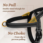 rabbitgoo Dog Harness No Pull, Quick Fit for Small Dogs with Soft Padded Handle, Chest Adjustable Reflective Pet Vest, No Choke Escape Proof for Walking Training, Black S