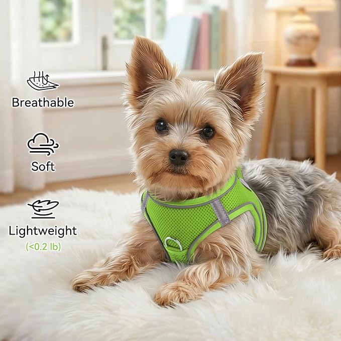 Joytale Small Dog Harness, Breathable Mesh Step-in Vest, Reflective Soft Padded Harnesses for Small and Medium Dogs, Green, L