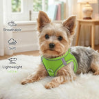 Joytale Small Dog Harness, Breathable Mesh Step-in Vest, Reflective Soft Padded Harnesses for Cats and Puppies Dogs, Green, XXXS