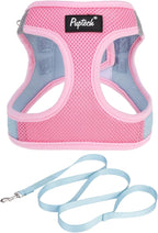 PUPTECK Dog Harness and Leash Set for Small Medium Dogs No Pull Step-in Soft Mesh Puppy Cat Vest Harnesses Reflective at Night, Pink & Blue, M