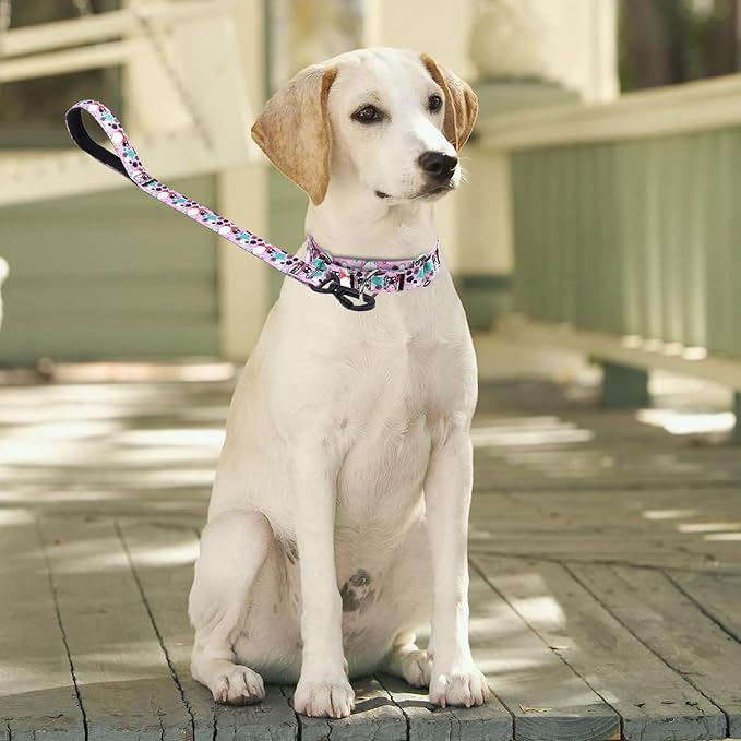 Martingale Collar and Leash Set, Premium No Slip Martingale Collar for Dogs Medium Large, Girl Dog Collars Training (NO9, M)