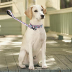 Martingale Collar and Leash Set, Premium No Slip Martingale Collar for Dogs Medium Large, Girl Dog Collars Training (NO9, L)