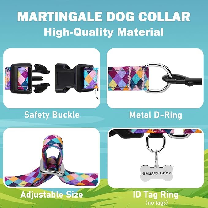 Reflective Martingale Collar for Dogs with Quick Release Buckle No Pull Training Dog Collars (Colorful Geometric, XSmall)