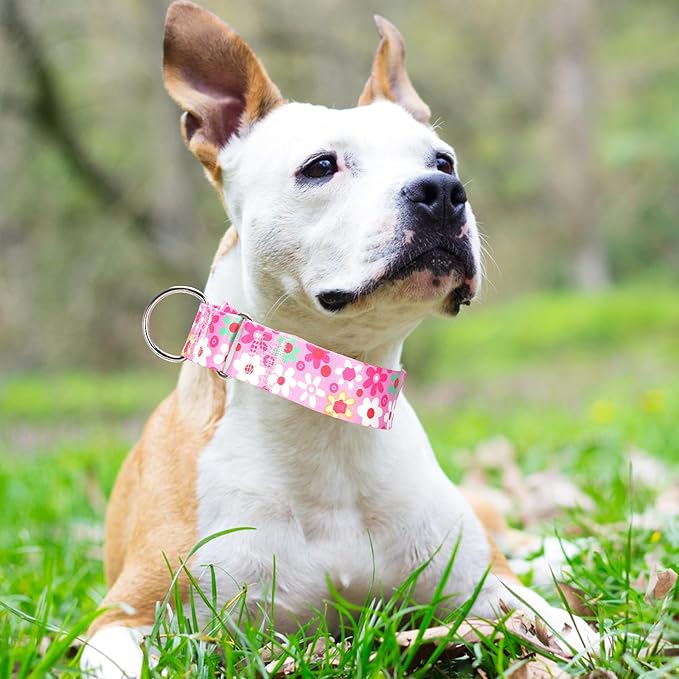 1.5 Inch Wide Martingale Dog Collar - No Pull Choke Cinch Escape Proof Training for Large Dogs, Soft Nylon Durable Collar for Walking, Running & Training for Large Breeds -Pink L