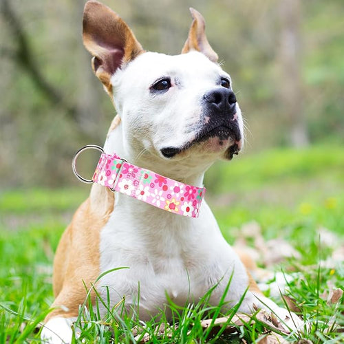 1.5 Inch Wide Martingale Dog Collar - No Pull Choke Cinch Escape Proof Training for Large Dogs, Soft Nylon Durable Collar for Walking, Running & Training for Large Breeds -Pink L