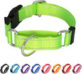Martingale Collar for Dogs,Reflective Martingale Dog Collars with Quick Release Buckle,Adjustable Nylon No Pull Dog Collar for Walking Training(Azure Blue,Extra Large)