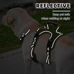 PUPTECK Escape Proof Dog Harness and Leash Set Upgraded No Pull Reflective Dog Vest with Lift Handle, Easy Control Pet Harness for Medium Large Dogs Training Walking Running, Green, M