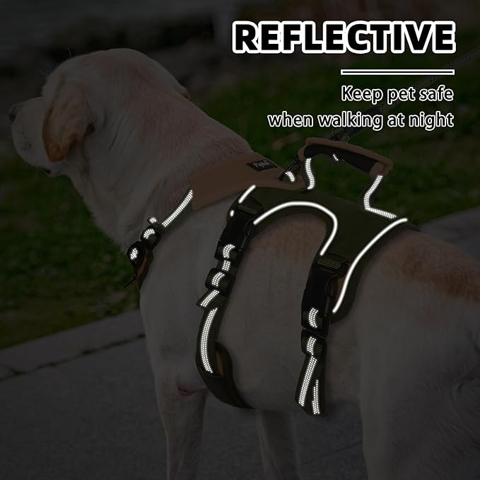 PUPTECK Escape Proof Dog Harness and Leash Set Upgraded No Pull Reflective Dog Vest with Lift Handle, Easy Control Pet Harness for Medium Large Dogs Training Walking Running, Green, L