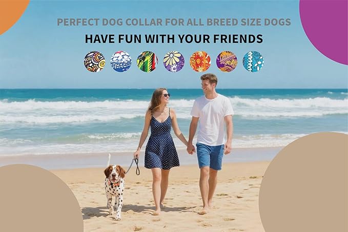 Martingale Dog Collar with Chain Stainless Steel, Nylon Dog Collar Flowers Pattern, Adjustable Training Walking Collar with Quick Release Buckle, Slip Chain Collar for Puppy Medium Large Dogs