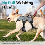 rabbitgoo Escape Proof Dog Harness, Soft Padded Full Body Pet Harness, Reflective Adjustable No Pull Vest with Lift Handle and Leash Clip for Large Dogs Walking Hiking Training, XL, Grey