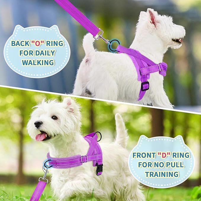 Lukovee No Pull Dog Harness and Leash Set, Soft Padded Small Dog Harness, Neck & Chest Adjustable Reflective Vest Puppy Harness with 4ft Lightweight Anti-Twist Dog Leash for Small Dogs (S, Purple)