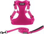 Best Pet Supplies Voyager Adjustable Step-in Flex Breathable Mesh Dog Harness for Small Medium Large Dogs Leash Set (Fuchsia), M