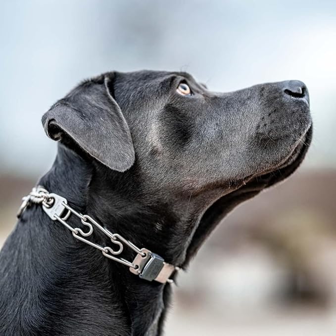 Herm Sprenger ClicLock Fastener Stainless Steel Buckle for Prong Dog Training Collar & Quick Release with Easy Buckle for Small Medium Large Dogs (2.25mm)