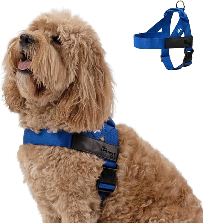 DF Co. Dog Harness | Chafe Resistant Webbing, Adjustable Neck & Chest, and Heavy Duty D-Ring | Sturdy, Comfortable, Easy to Use | Classic Blue, Size M