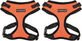Puppia Authentic RiteFit Harness with Adjustable Neck Orange, Medium (Pack of 2)