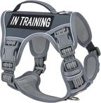 No-Pull Dog Harness for Small Dog Breeds, Anti-Escape Easy Walking Reflective Adjustable Lightweight Dog Vest with Breathable Oxford Material, Easy on Easy Off with Neck Buckle, Gray XS