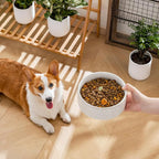 MALACASA Ceramic Dog Food Bowl, 3.5 Cups or 32oz Dog Food Water Dish for Mudium Breeds, Pet Bowl Dishwasher & Microwave Safe, Honeycomb, Series Lydia