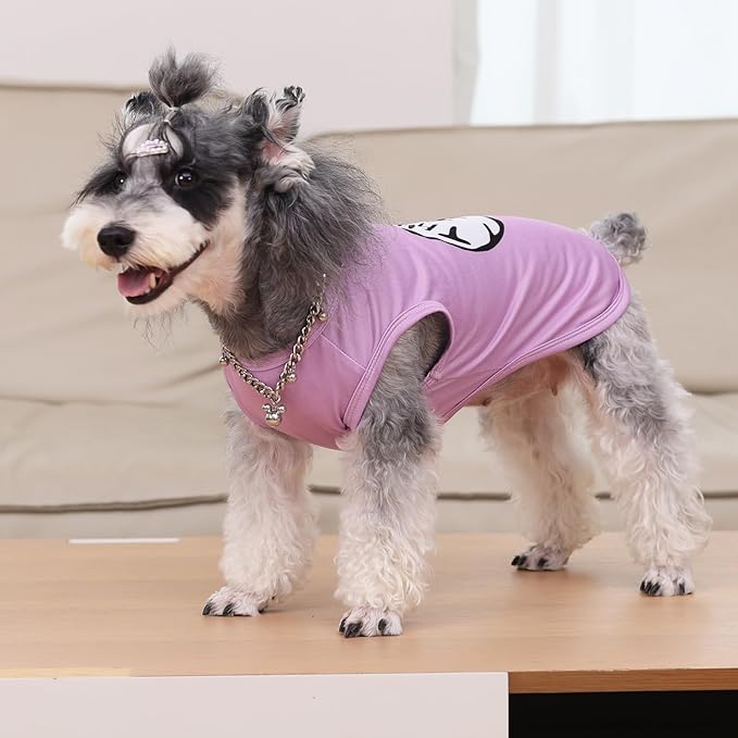 CuteBone Dog Shirts 2-Pack Soft Pet Clothes Breathable Summer Vest for Small Puppy and Stretchy Cat Apparel 2BX21M-D