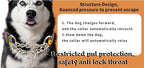 Martingale Dog Collar with Chain Stainless Steel, Nylon Dog Collar Flowers Pattern, Adjustable Training Walking Collar with Quick Release Buckle, Slip Chain Collar for Puppy Medium Large Dogs