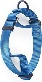 Premium Nylon Adjustable Anti-Escape Martingale Dog Collars,Soft and Silky Dog Collar with Durable D-Ring for Small Active Dogs Daily Helper.(Classic Blue, Small)